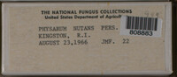 Image Associated With the Occurence